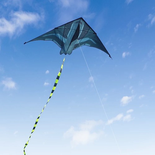 Yongjian large delta kite - 2m,