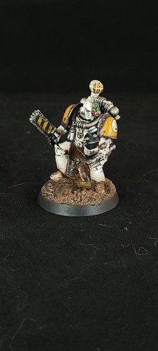 Pro painted 30k - 3x, imperial