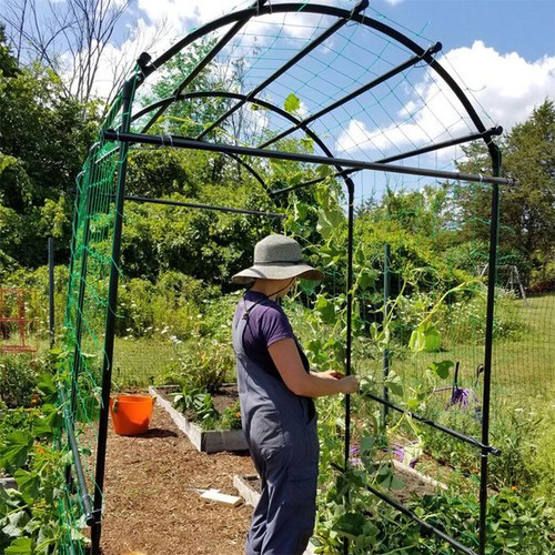 Heavy duty green cucumber - heavy-duty,