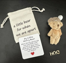 Little Pocket Bear Hug Mini