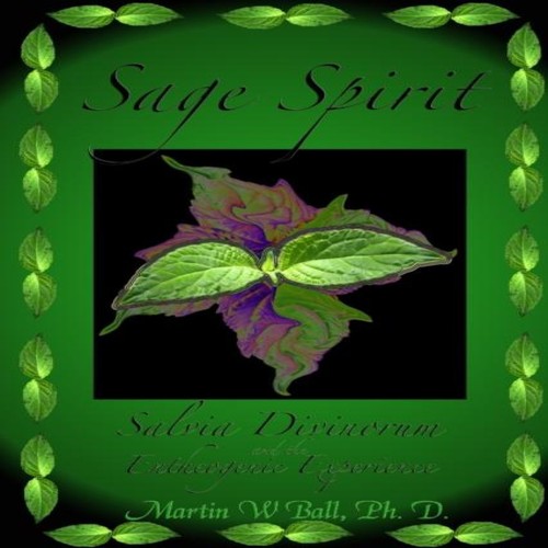 Sage spirit salvia divinorum - sage,