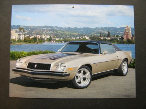 1974 chevrolet camaro 28 - 1974,