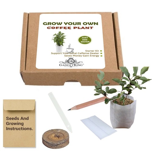 Grow your own coffee - own, plant