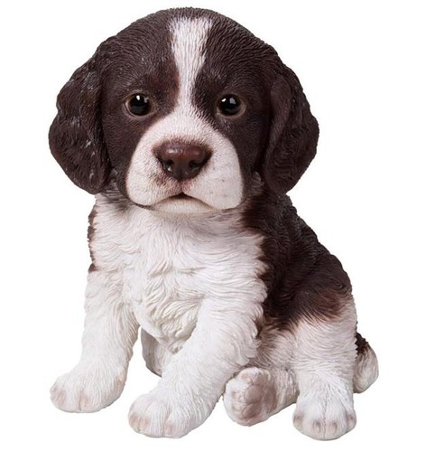 Vivid arts pet pal springer - pet,