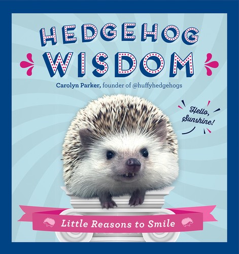 Hedgehog wisdom little - wisdom:,