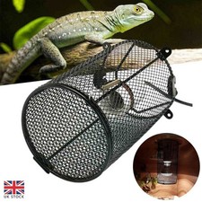 Reptile Ceramic Light Heating
