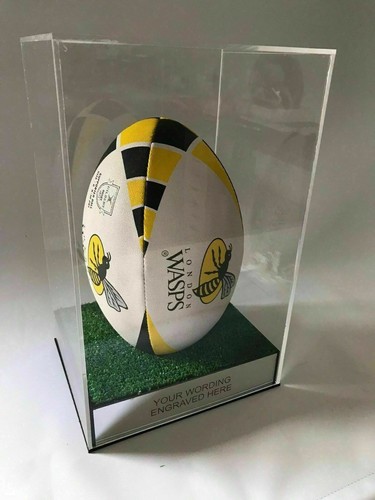 Rugby ball display case - ball,