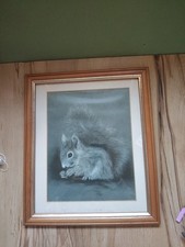 Sue Willis Squirrel Print