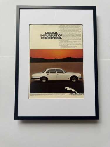 Framed 1981 jaguar - jaguar, xj12