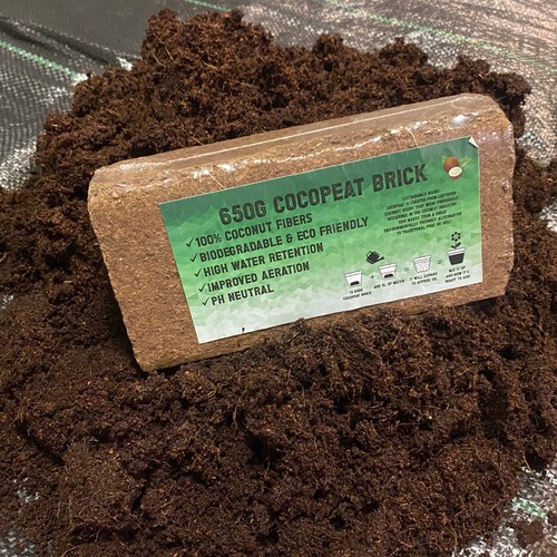 Coconut coir bricks - coir,