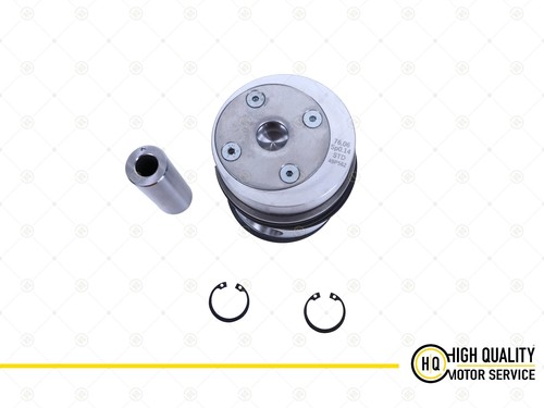 Piston with ring - piston,
