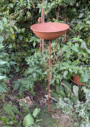 Rust bird metal garden - rust, stake