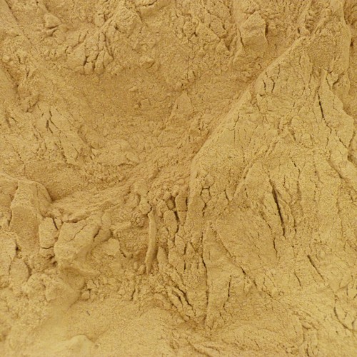 Brewers yeast powder 1kg - yeast,