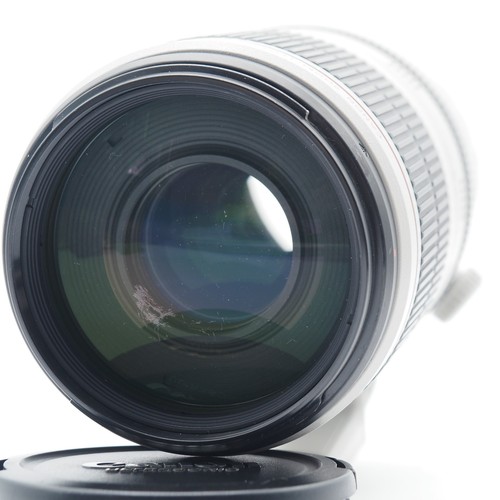 Canon 100 400mm 5 - canon, 100-400mm