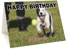 Personalised American Bulldog