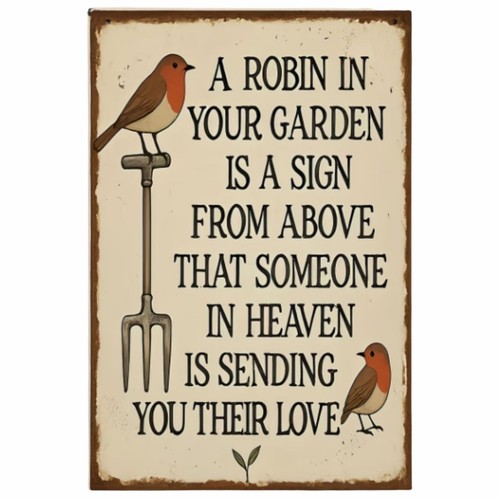 Robin your garden - in, a
