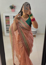 New sequence embroidery saree