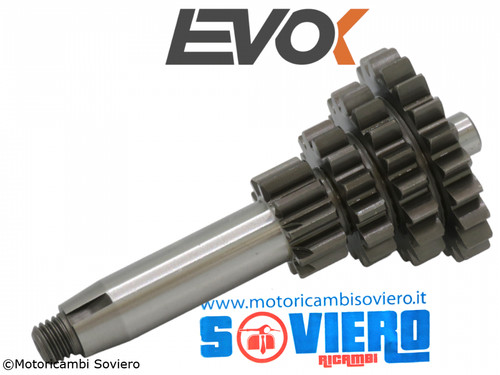 Quadruple gear evok - quadruple, 4