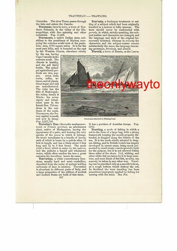 Trawl net fishing - trawl,