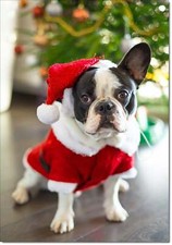 Doodlecards Pack of 10