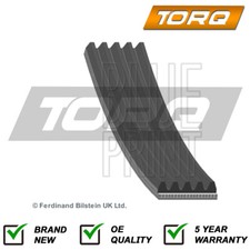 Alternator Belt Torq Fits