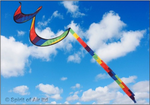 Twister windsock - twister,