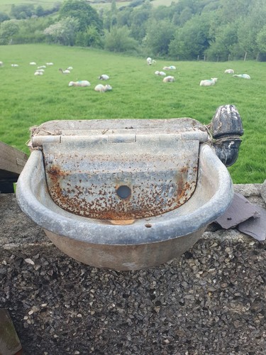Vintage bird bath - bird,