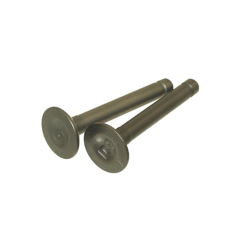 Engine intake exhaust valves - engine,