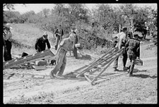 Cherry pickers,Door County,Wisconsin,WI,July 1940,John Vachon,FSA,Ladders