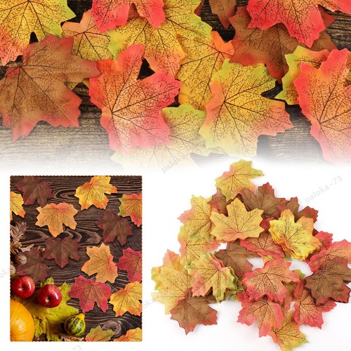 Mixed maple leaves - mixed,