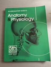 An Introductory Guide to