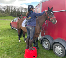 PORTABLE ROUND 1-STEP MOUNTING BLOCK / GROOMING KIT STORAGE 🎄 BRITISH MADE