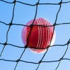 Cricket Net 3m x 10m  Ball Stop Practice Cage Batting Sports Tennis Netting
