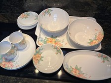 Melamine Vintage Dinner Set 29