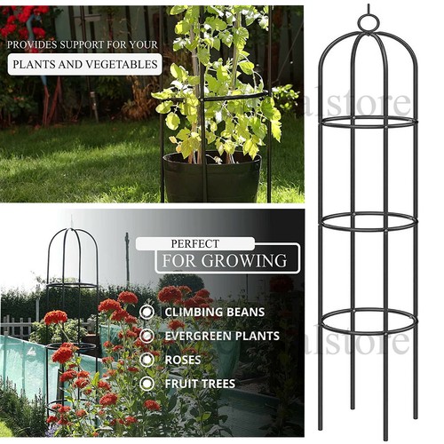 Garden obelisk climbing flower - garden,