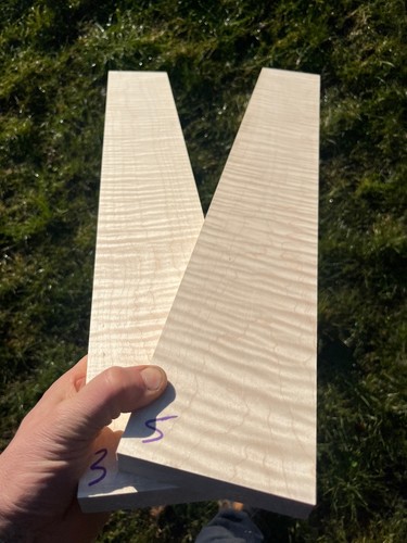 Curly tiger stripe maple - curly,