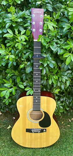 Elevation string parlour - 6-string,