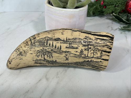 Very nice detailed - nice, scrimshaw