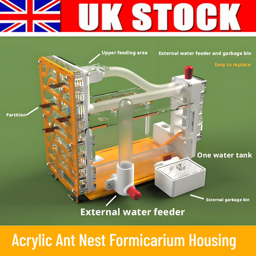 Ant housing ants farm with - ant,