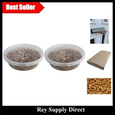 Nutritious Live Mealworms 2