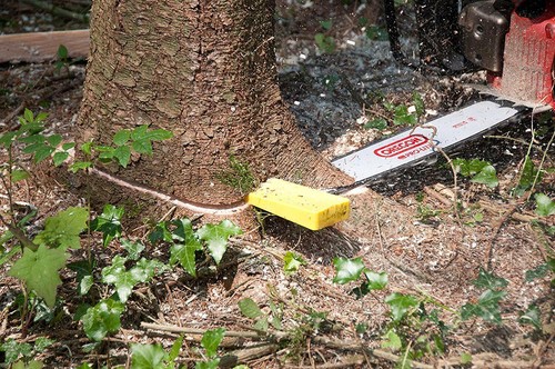 Oregon felling wedge 20cm - oregon,