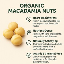 Organic Macadamia Nuts 250g-11.34kg (Sussex Wholefoods)