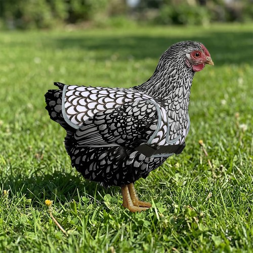 3pcs oxford cloth - 3pcs, poultry
