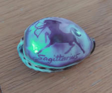 CARVED LEOPARD COWRIE SHELL