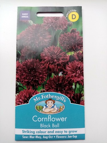 Fothergill cornflower - mr,