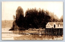 Vintage RPPC Rooster Rock OR