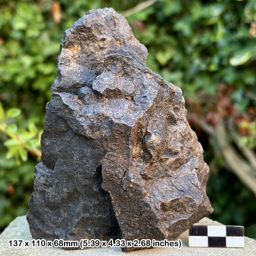 Huge common chondrite - h5,
