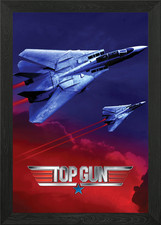 F-14 Tomcat Framed Wall Art