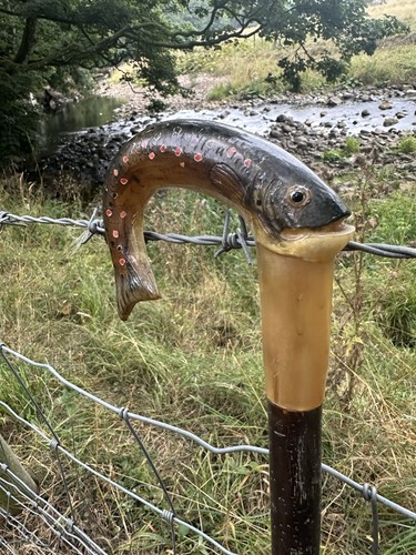 Rams horn walking stick - rams,