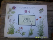 Readers Digest Field Guide to